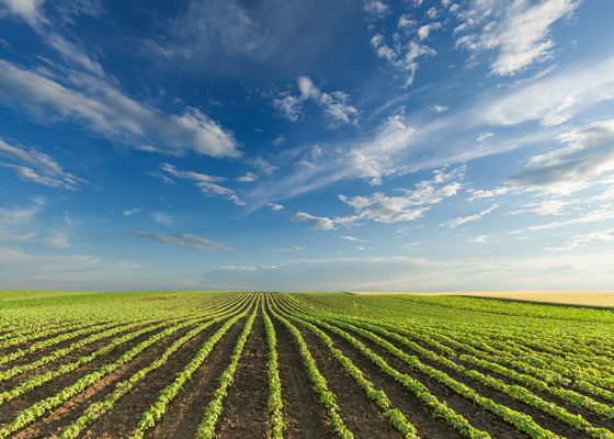 Agricultural Biologicals